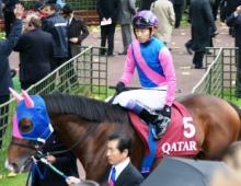 日本代表・メイショウサムソン